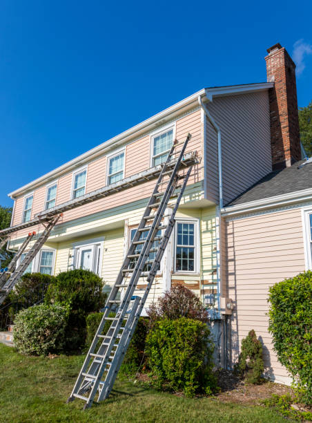 Best Shed Removal  in Jean Fitte, LA